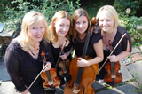 Highly Strung String Quartet